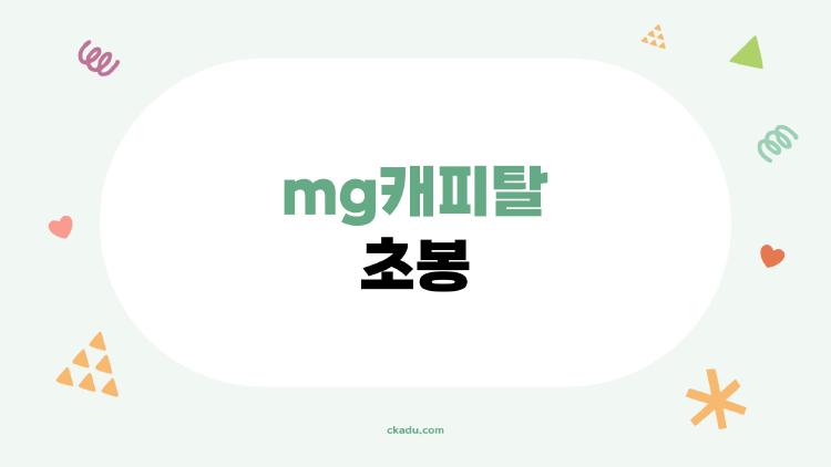 mg캐피탈 초봉