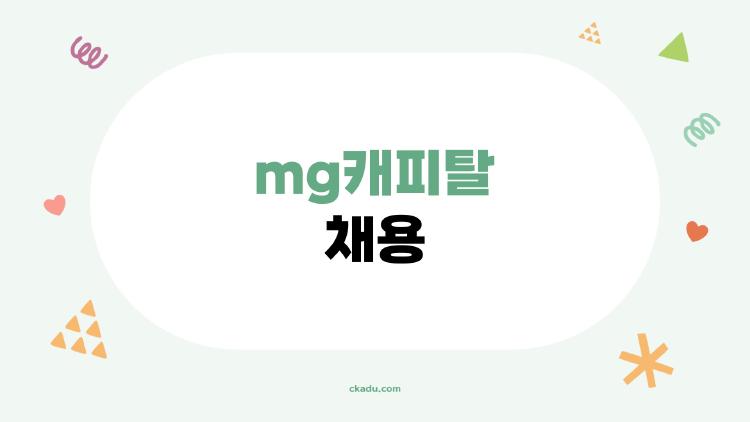 mg캐피탈 채용