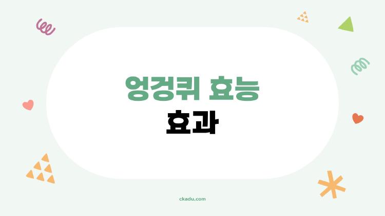 엉겅퀴 효능 효과