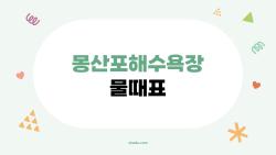 몽산포해수욕장 물때표, 이때 가면 갯벌이 훤히 보인다? 2026년 최신 정보