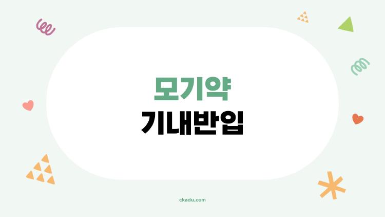 모기약 기내반입