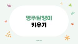 명주달팽이 키우기, 응애 잡는 충격 속은법