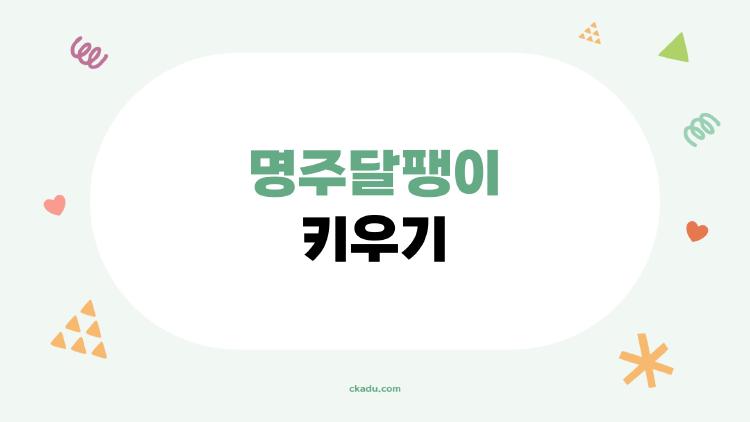 명주달팽이 키우기