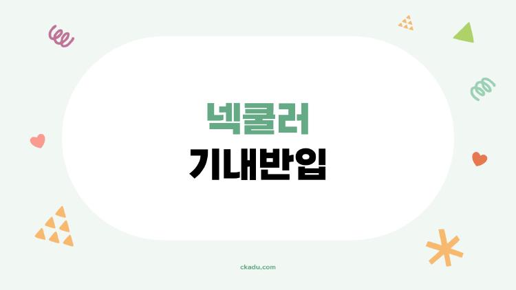 넥쿨러 기내반입, 왜 내 목보호대는 공항서 막힐까?