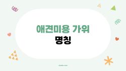 애견미용 가위 명칭 완벽 정리, 2026년 대세는 이거