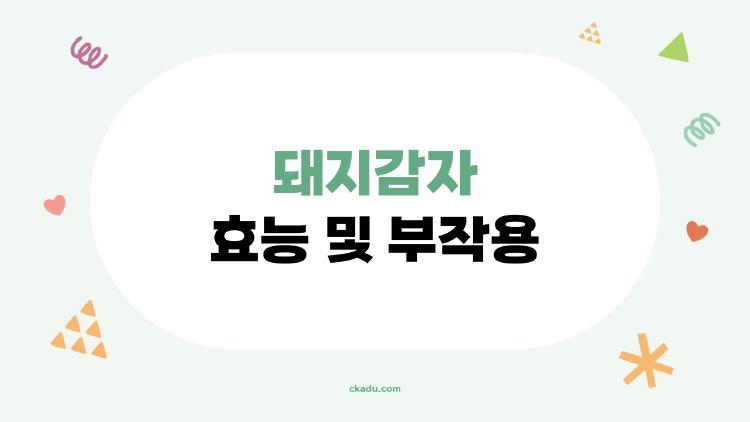 돼지감자 효능 및 부작용