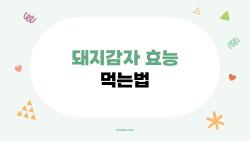 돼지감자 효능 먹는법, 혈당 뚝 떨어지는 비밀 폭로!