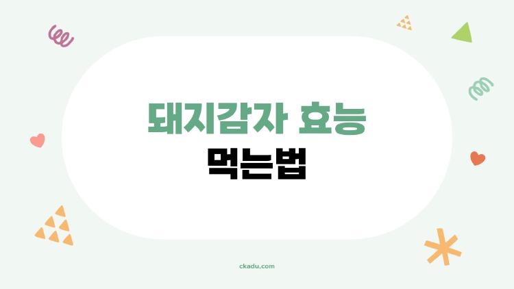 돼지감자 효능 먹는법