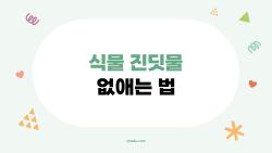 식물 진딧물 없애는 법, 농약 없이 3일 만에 싹쓸이 해버린 꿀팁