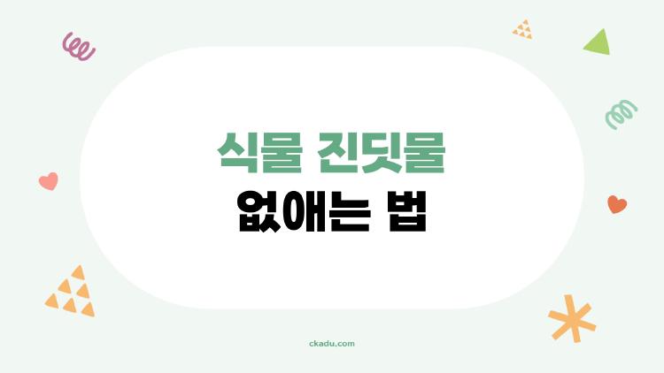 식물 진딧물 없애는 법