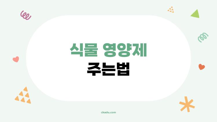 식물 영양제 주는법 2026 트렌드, 유기농 액체로 효과 2배