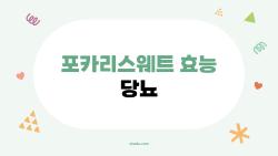 포카리스웨트 효능 당뇨, 마실 때 혈당 폭등 위험?