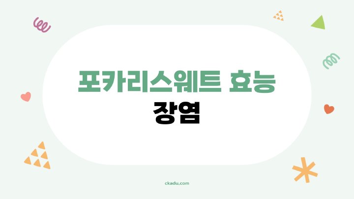 지식나무