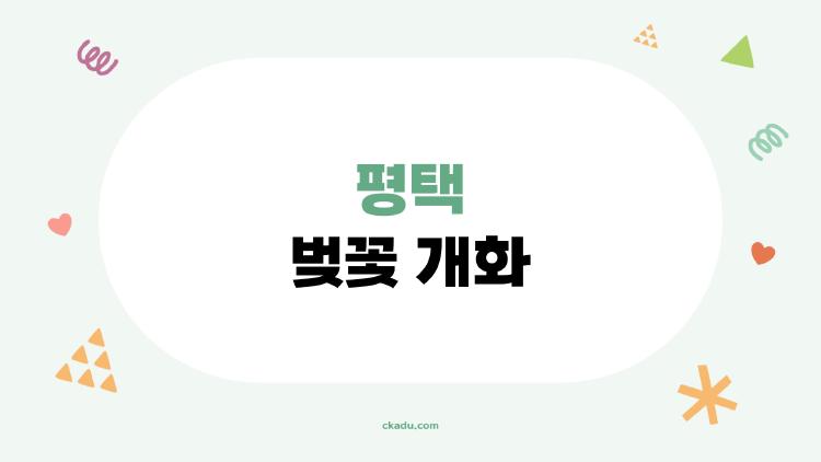 평택 벚꽃 개화 명소 사진.