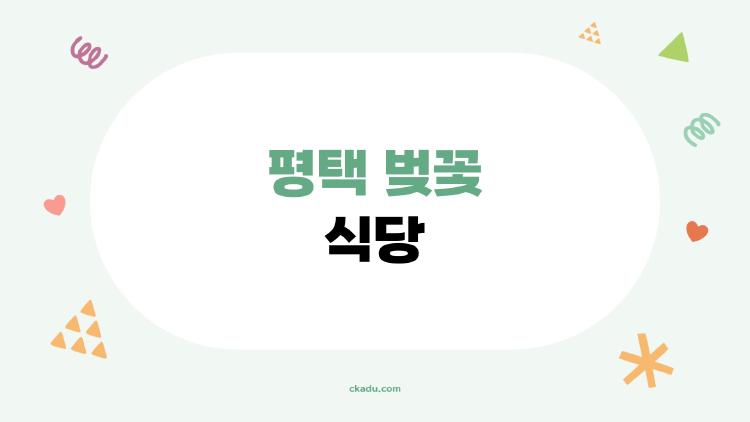 평택 벚꽃 식당