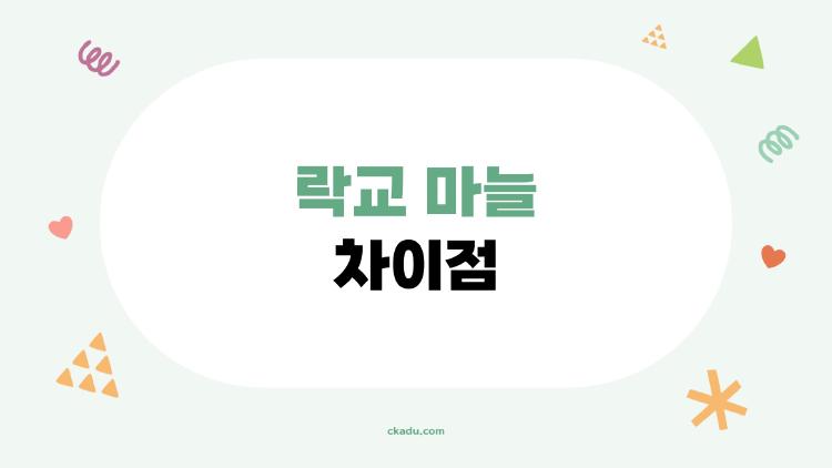 락교 마늘 차이점