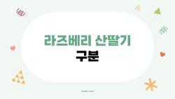 라즈베리 산딸기 구분, 왜 다들 헷갈리나 봤더니…