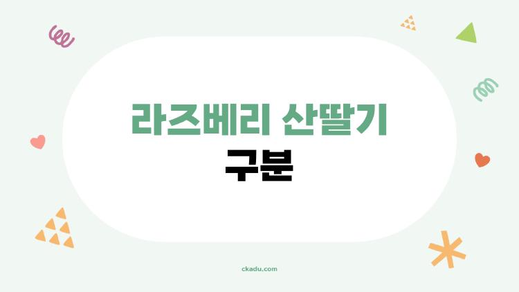 라즈베리 산딸기 구분, 왜 다들 헷갈리나 봤더니…