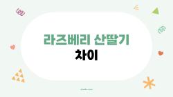라즈베리 산딸기 차이, 헷갈리는 당신을 위한 충격 반전!