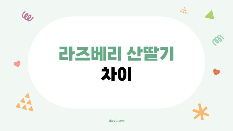 라즈베리 산딸기 차이