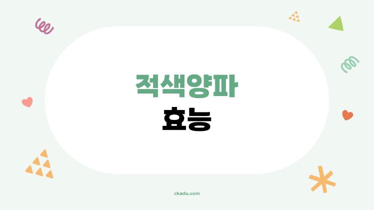 적색양파효능 충격, 당뇨 혈당 잡는 껍질의 대반전 효과