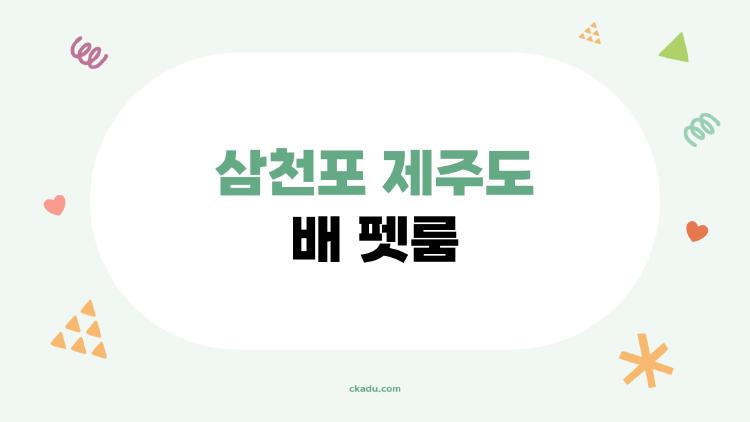 삼천포 제주도 배 펫룸, 강아지 울음 없이 6시간 버틴 비밀