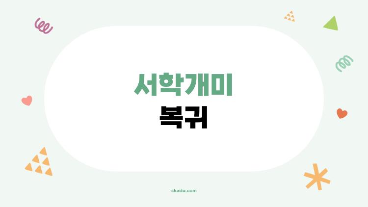 서학개미 복귀 폭발, 9만 계좌 돌파 비밀