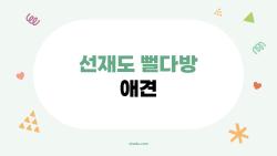 선재도 뻘다방 애견, 강아지랑 바다뷰 인생샷 찍었어요!