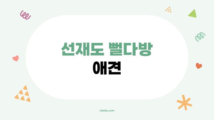 선재도 뻘다방 애견