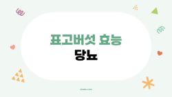 표고버섯 효능 당뇨, 혈당 뚝 떨어지게 하는 비밀 재료?