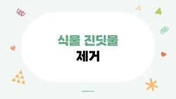 식물 진딧물 제거, 농약 없이도 진짜 끝내는 방법 있을까