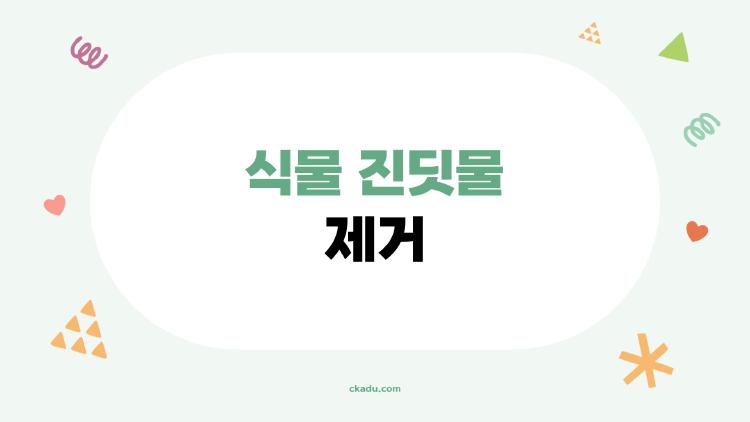 식물 진딧물 제거