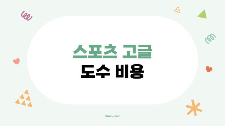 스포츠 고글 도수 비용