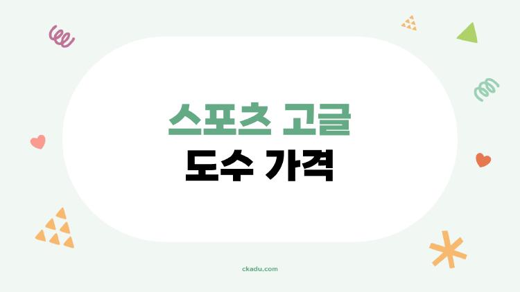 스포츠 고글 도수 가격