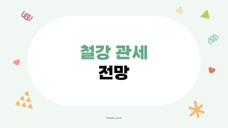 철강 관세 전망