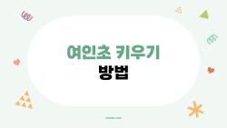 여인초 키우기 방법, 잎 갈라짐? 2026년 실패 ZERO 꿀팁