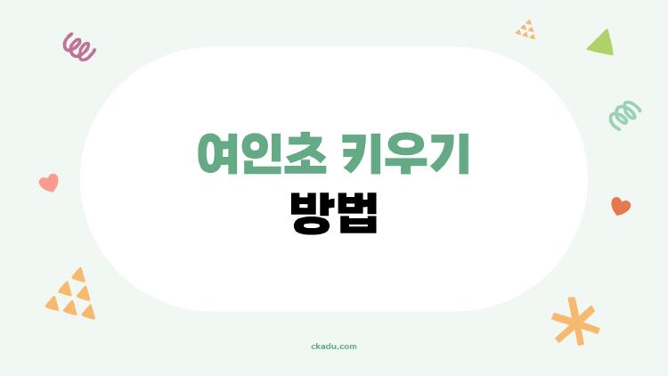 여인초 키우기 방법