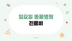 일요일 동물병원 진료비 폭탄 피하는 비밀 루트 공개