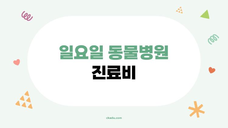 일요일 동물병원 진료비