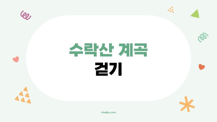 지식나무