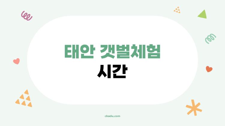 태안 갯벌체험 시간