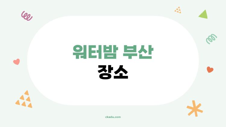 워터밤 부산 장소, 2026년에 어디서 열리는 걸까?