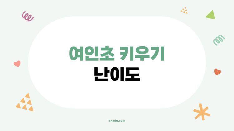 여인초 키우기 난이도