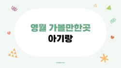 영월 가볼만한곳 아기랑, 혼자 다녀와도 괜찮을까?