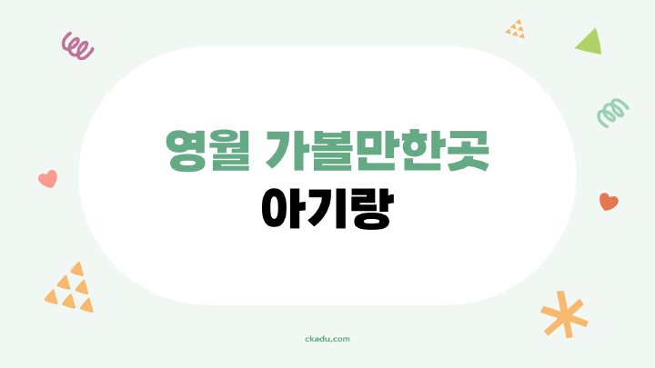 지식나무